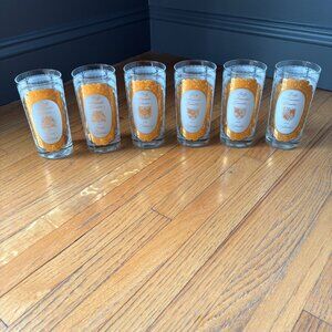 RARE Early American Families Names - Six Highball Glasses